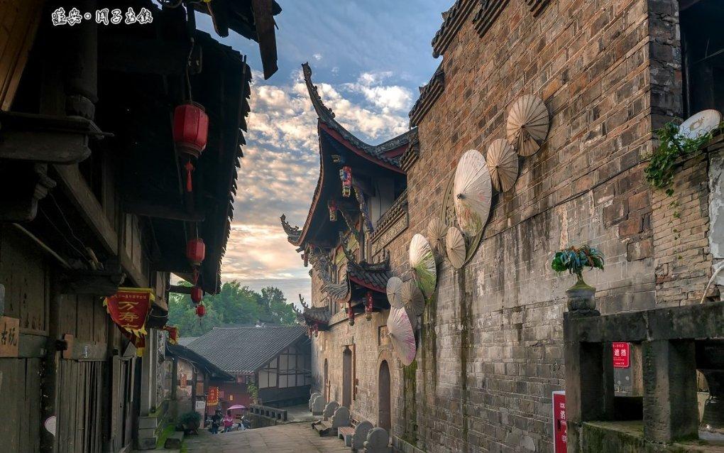 知名女星司机在高速上倒车,跟车粉丝竟效仿